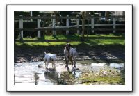 IMG_0063