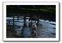 IMG_0073