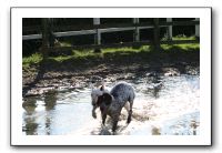 IMG_0065