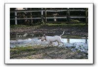 IMG_0075