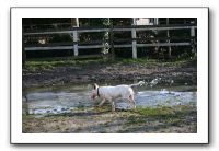 IMG_0076