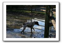 IMG_0057