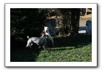 IMG_0067