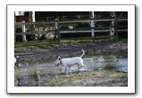 IMG_0077
