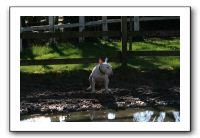 IMG_0059