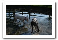 IMG_0069