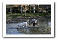 IMG_0079
