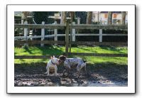 IMG_0060
