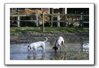 IMG_0080