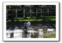 IMG_0061