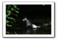 IMG_1576