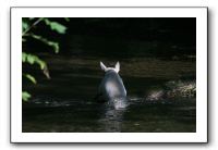 IMG_1581