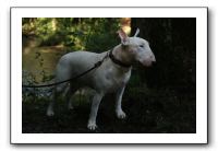 IMG_1610