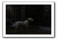 IMG_1660