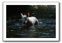 IMG_1567
