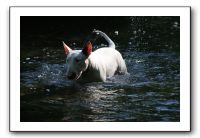 IMG_1568