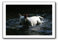 IMG_1569