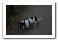 IMG_0200