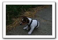 IMG_0201