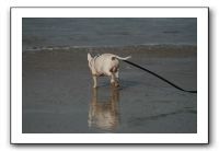 IMG_2342