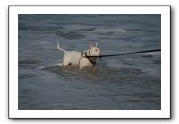 IMG_2345