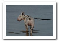 IMG_2347