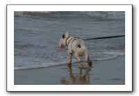IMG_2350