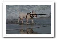 IMG_2351
