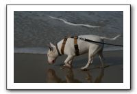 IMG_2363