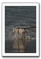 IMG_2393