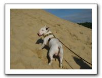 SANY0253