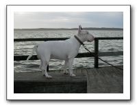 SANY0227