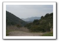 IMG_7523