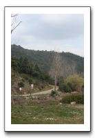 IMG_7524