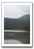 IMG_7540