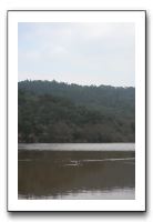 IMG_7541