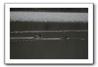 IMG_7542
