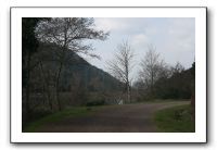 IMG_7509