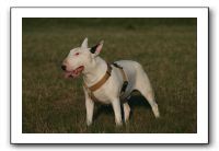 IMG_7186