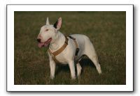 IMG_7188