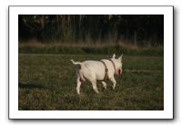 IMG_7196