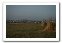 IMG_7206