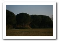 IMG_7208