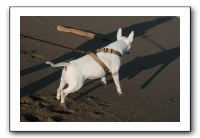 IMG_7083