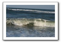 IMG_7102
