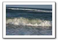 IMG_7103