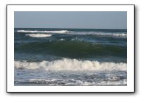IMG_7106