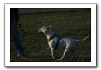 IMG_7140