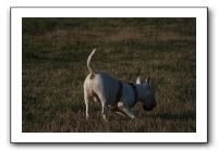 IMG_7142