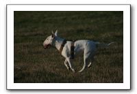 IMG_7144